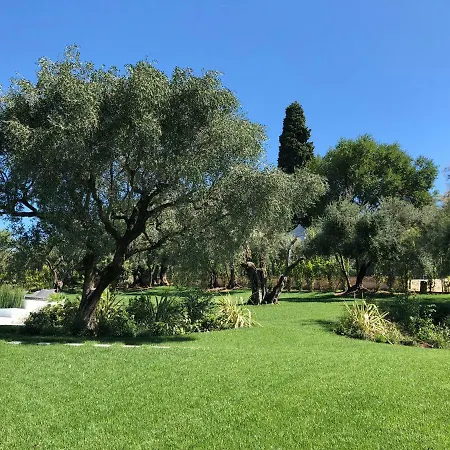 Il Bacio Del Sole Appartement *