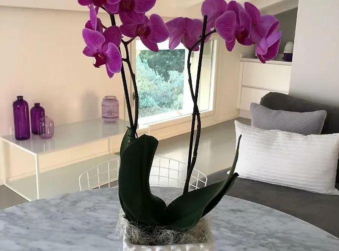 Il Bacio Del Sole 아파트 베로나