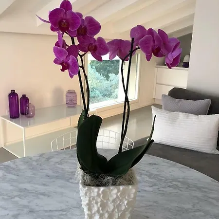 Il Bacio Del Sole Apartament Werona